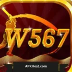 W567 Game
